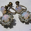 Whiteside and Blank Earrings