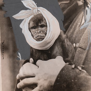Press Photographs Painted Pictures which DO Lie by Jim Linderman - Photographs