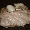Help Needed UNKNOW DATE STAMP????Shell Dish With Lid 