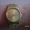 Hamilton swiss/quartz/battery/day/date(English/French)