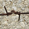 Antique Barbwire