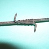 More Antique Barbed Wire