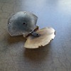mystery brooch
