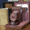 Kodak Ensemble in Old Rose