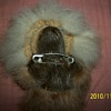 Alaskan Artifact