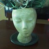 Flower Pot
