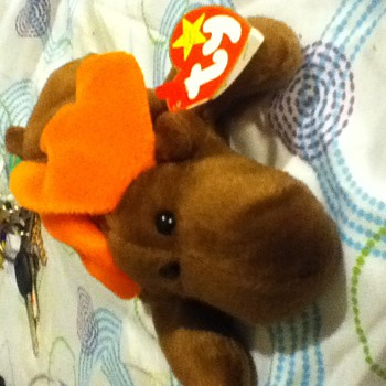 Chocolate the moose 1993 