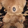 Vintage Koala Bear Real Kangaroo Fur