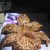 My love of orchids ... brooch
