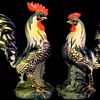 MAJESTIC ROOSTER AND HEN
