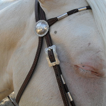 Cowgirl's first and favorite pick.