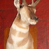 Arte' the Antelope Charity Shop Find