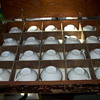 admiral china cups