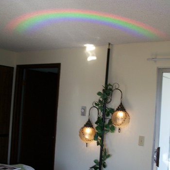 Grandma Kay's Tenson Pole Lamp - Lamps