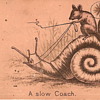 A Slow Coach - What the heck is this?