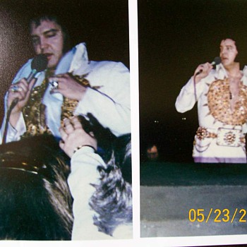 Elvis in concert a few months before his death  - Photographs
