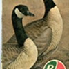 B A  Manitoba Saskatchewan road map 