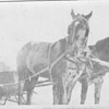 My Canada Family in Sleigh pulled by horses 