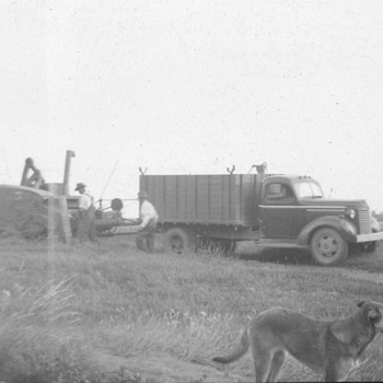 Truck & Combine - Photographs