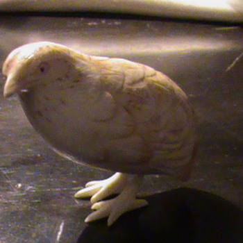 *~*Pretty Little Birds*~*