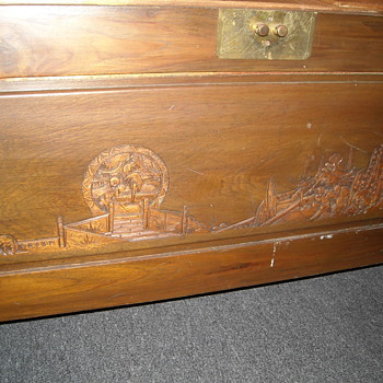 Asian Camphor Trunks
