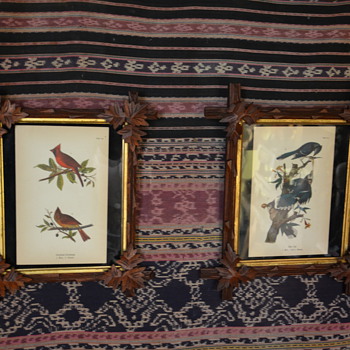 Shabby Cabin Chic Framed Prints - Present to my dad - Animals