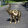 Brass elephants