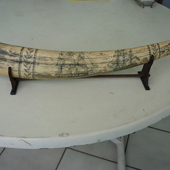 walrus scrimshaw?