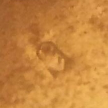pocket watch need some info 