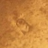 pocket watch need some info 