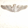 WW2 Bombadier Wings