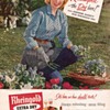 1954 Rheingold Lager Advertisement 4