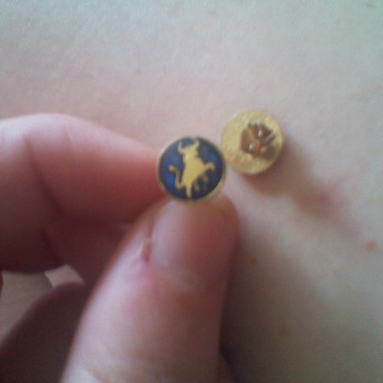 bronze,gold bull in blue sparkly back groud stud earings