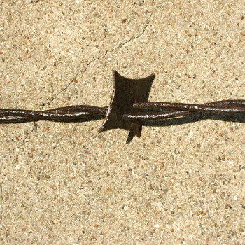 Barbed Stars
