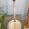 Roxy 1960s German banjo