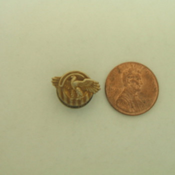  WWII Returning Troop Ruptured Duck Pin/Button