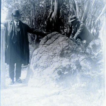 Unknown Unearthed Object - Pos - Photographs