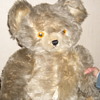 Just found Knickerbocker bear