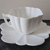 Beautiful Foley China flower cup & saucer