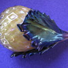 Glass Paper Weight