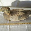 wooden decoy duck
