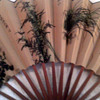 Asian Fan with writings