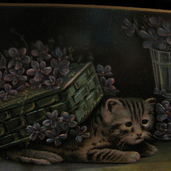 1911 Cat postcard