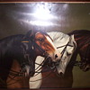horse repost
