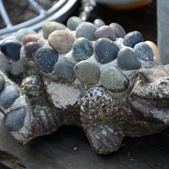Pebble-encrusted alligator?? - Animals