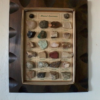 Rock Specimen Collection Art