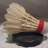 Shuttlecock ?