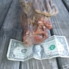 Petrified Wood cut for the fire!