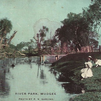 RIVER PARK MUDGEE - THE POST ARRIVED! - Postcards