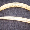 Walrus Ivory -  CARVED IVORY CRIBBAGE BOARDS